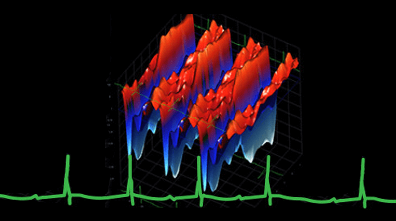 https://www.phenogenomics.cz/files/2020/05/cardiovascular.png